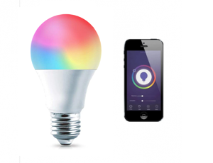Large screw on sale base light bulb