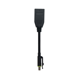 PNY Mini DisplayPort (M) to DisplayPort (F) Video Adapter